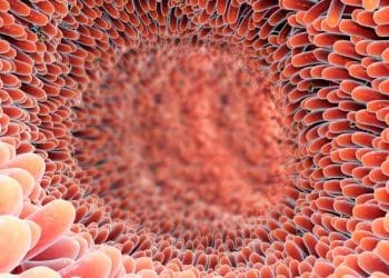 Bağırsak Sağlığında Fırsatlar ve Sorunlar