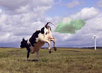 Enerji Nereden Gelir?