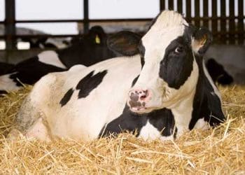 Kazancın Kilit Noktası: Geçiş Dönemi