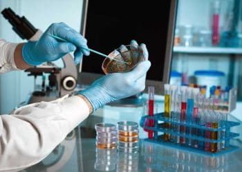 Laboratuvarsız Olmaz