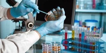 Laboratuvarsız Olmaz