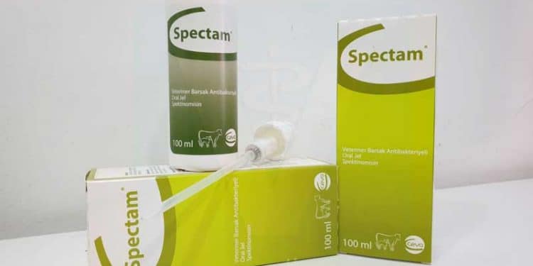 Spectam