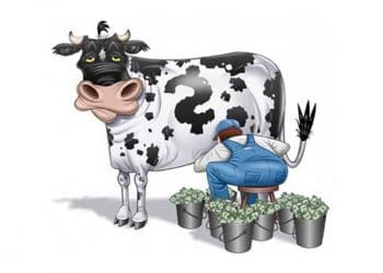 Süt Sığırcılığında Kimler Kazanacak?