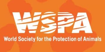WSPA Nedir?