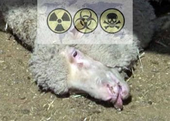 Biyolojik Silah Geçmişi ile Bizi Tehdit Eden ŞARBON