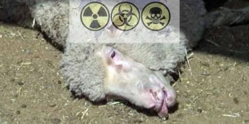 Biyolojik Silah Geçmişi ile Bizi Tehdit Eden ŞARBON