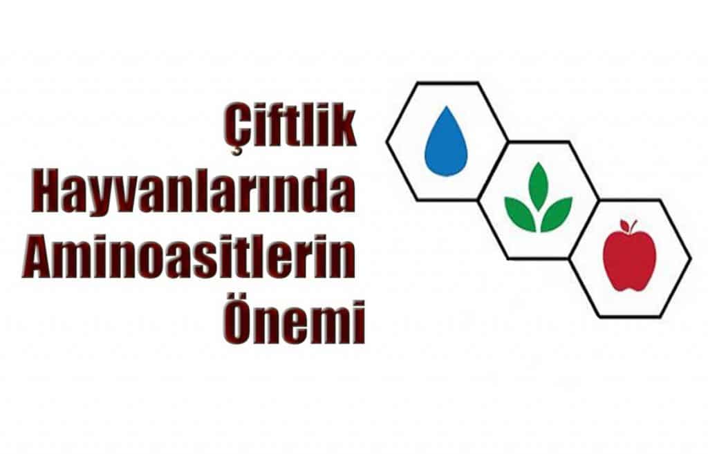 Çiftlik Hayvanlarında Aminoasitlerin Önemi