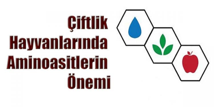 Çiftlik Hayvanlarında Aminoasitlerin Önemi