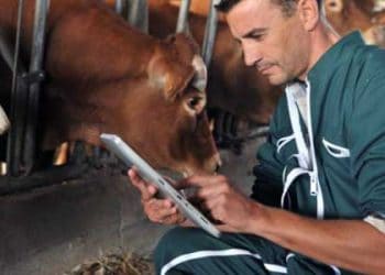 Hayvancılığın ve Veteriner Hekimliğinin Sorunları