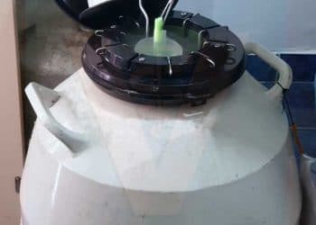 Kaliteli Sperma En İyi Yatırımdır