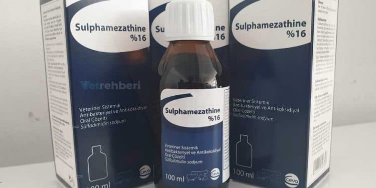 Sulphamezathine %16