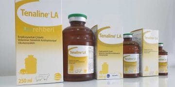 Tenaline LA