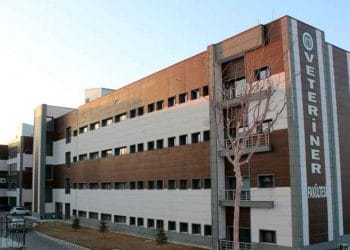 Türkiye’de Kaç Veteriner Fakültesi Var?