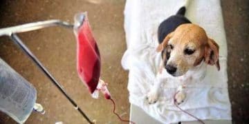 Willebrand Sendromu Nedir?