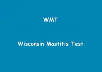 Wisconsin Mastitis Testi Nedir?