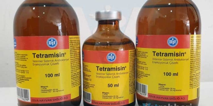 Tetramisin