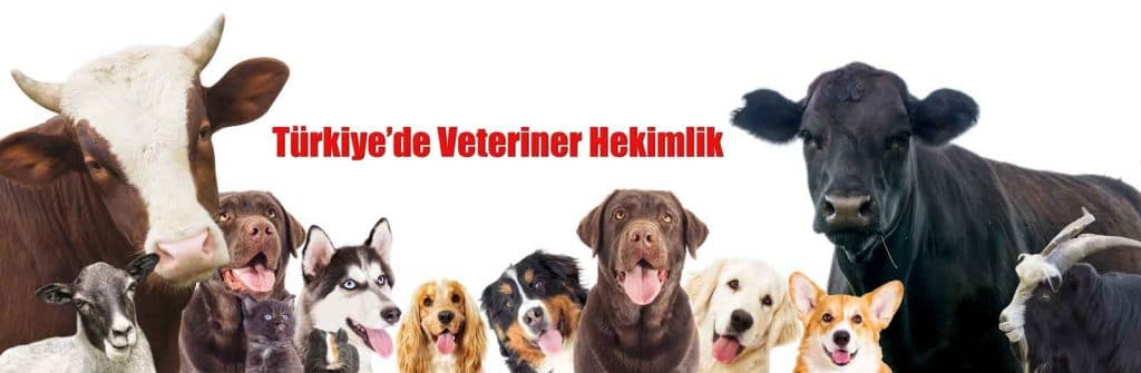 Türkiye’de Veteriner Hekimlik