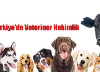 Türkiye’de Veteriner Hekimlik