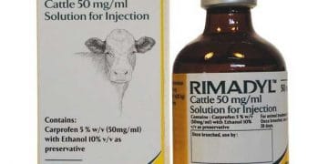 Rimadyl XL