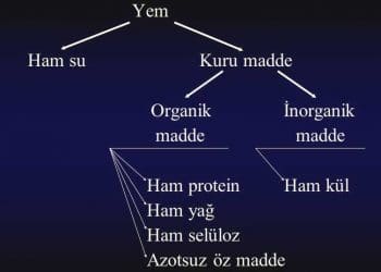 Weende Analiz Sistemi Nedir?
