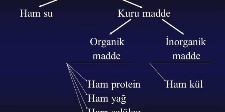 Weende Analiz Sistemi Nedir?