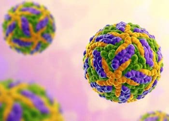 Wesselbron Hastalığı Nedir?