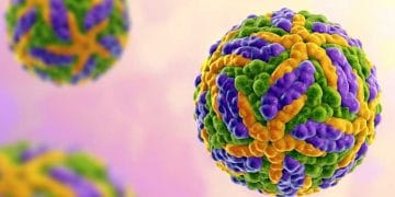 Wesselbron Hastalığı Nedir?