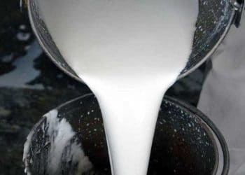 Çiğ Süt Üretiminde Yolun Sonuna Gelindi