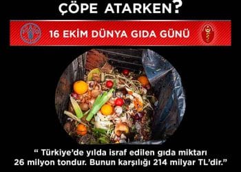 Dünya Gıda Günü (16 Ekim 2020)