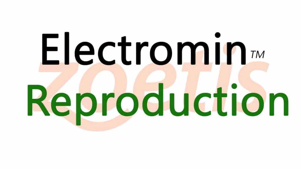 Electromin Reproduction