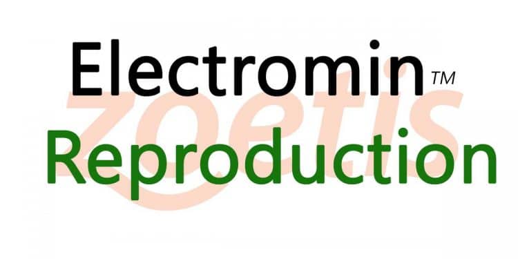 Electromin Reproduction