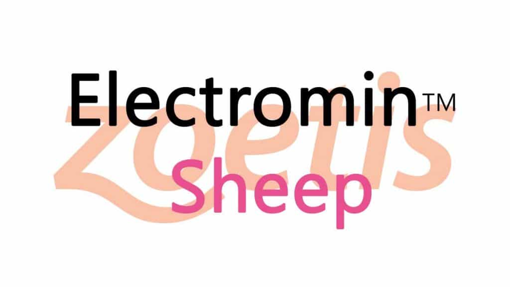 Electromin Sheep