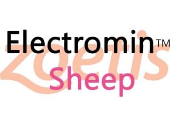 Electromin Sheep
