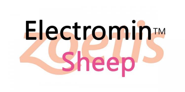 Electromin Sheep