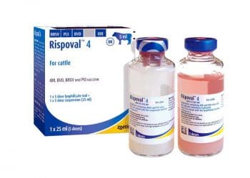 Rispoval 4