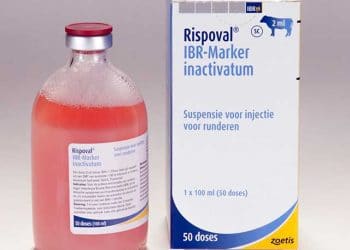 Rispoval IBR-Marker Inactivium