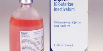 Rispoval IBR-Marker Inactivium