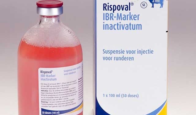 Rispoval IBR-Marker Inactivium