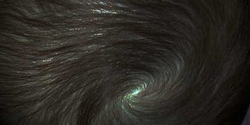 Vorteks Pilorum Nedir?