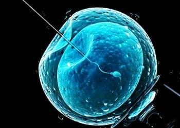 Vücut Dışı Döllenme Nedir?