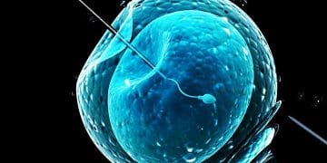 Vücut Dışı Döllenme Nedir?