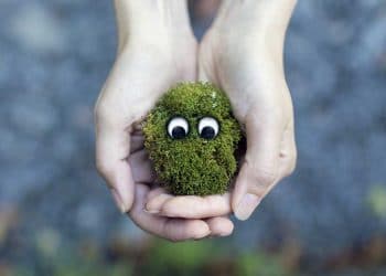 Canlıların Ortak Özellikleri