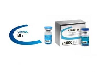 Cevac BI L