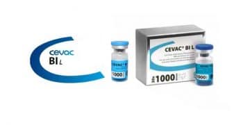 Cevac BI L