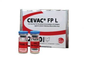 Cevac FP L