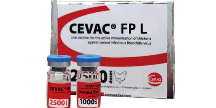 Cevac FP L