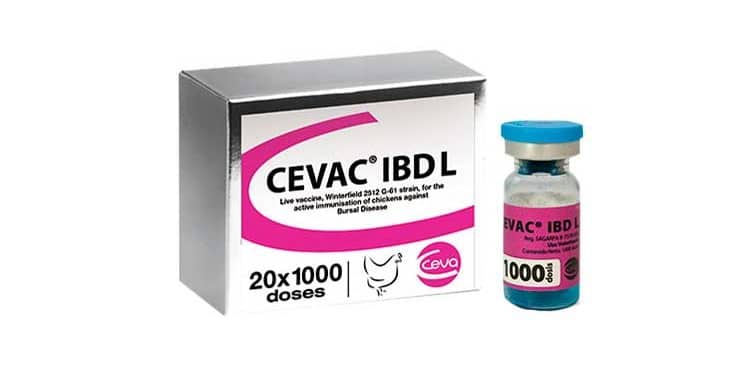 Cevac IBD L