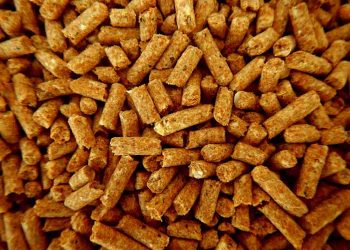 Hayvancılığın Bitmez Çilesi; Fabrika Yemi