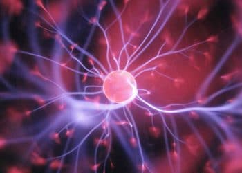 Hücrenin Tarihsel Seyri