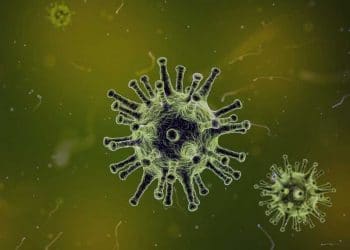 Volepox Virüsü Nedir?